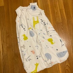 Winter Sleep Sack (12-18 mos)